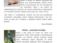 Publikacja  Panorama Page 004